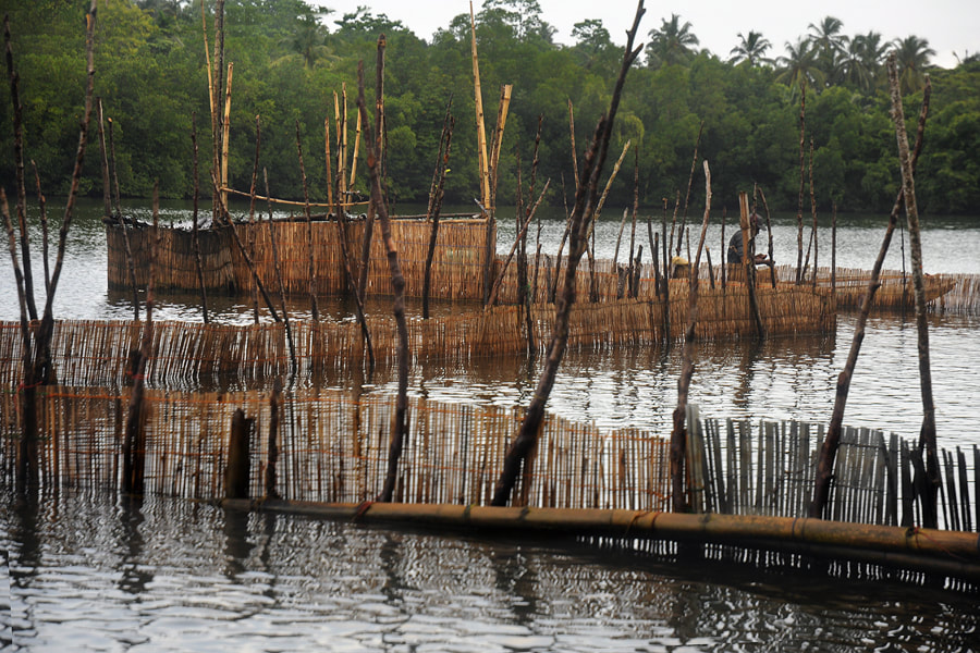 Madu Ganga Wetland